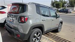 جيب رينيجيد